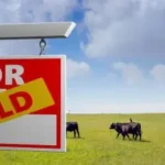 desarrollo-de-las-comunidades-rurales