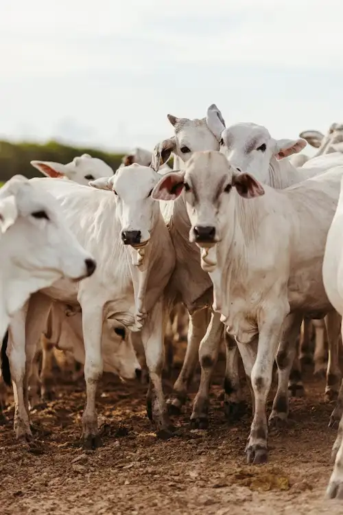 formación-y-capacitación-servicio